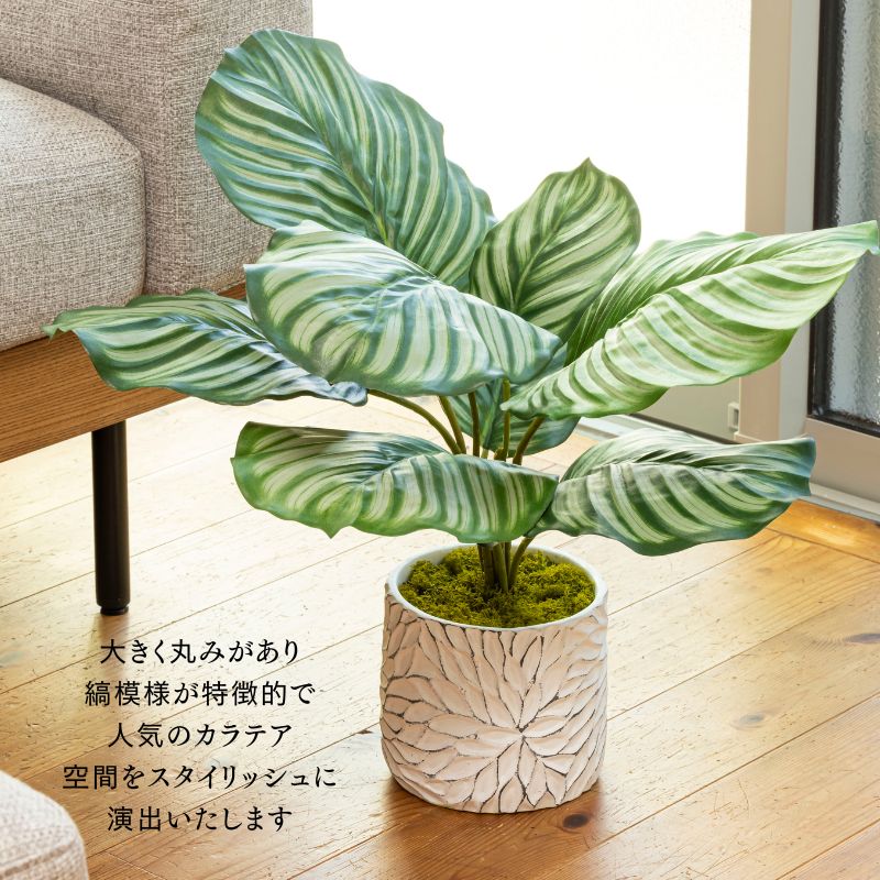 造花 観葉植物 カラテア 新築祝い 結婚祝い 開店祝い 誕生日プレゼント