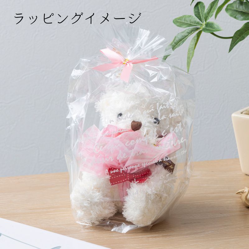 カリヌゥス ラッピング