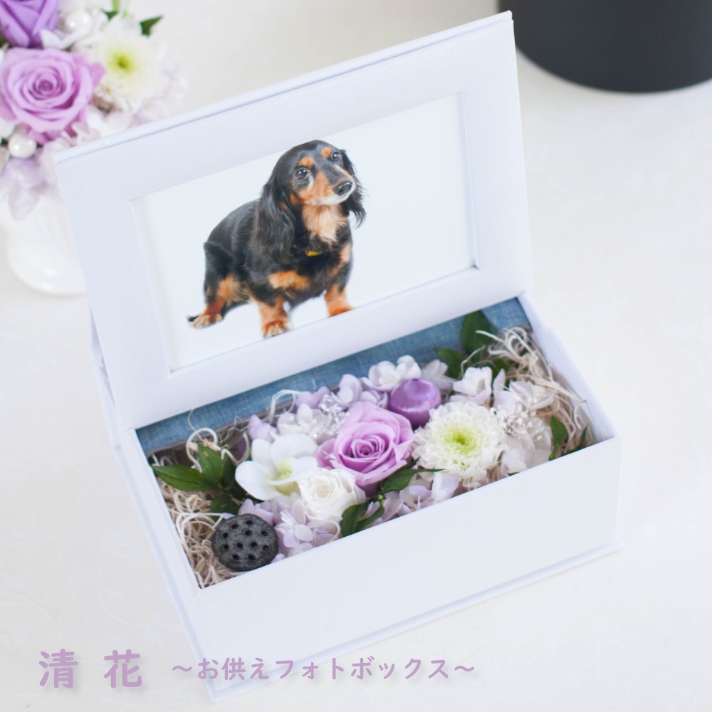 お供え 花 プリザーブドフラワー 仏花 写真立て 遺影 清花 フォト