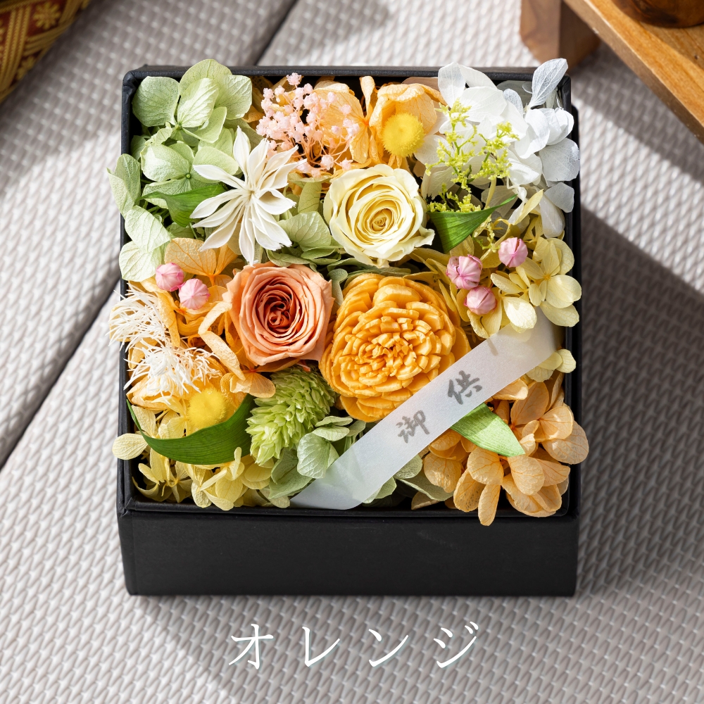 こころね カラー5