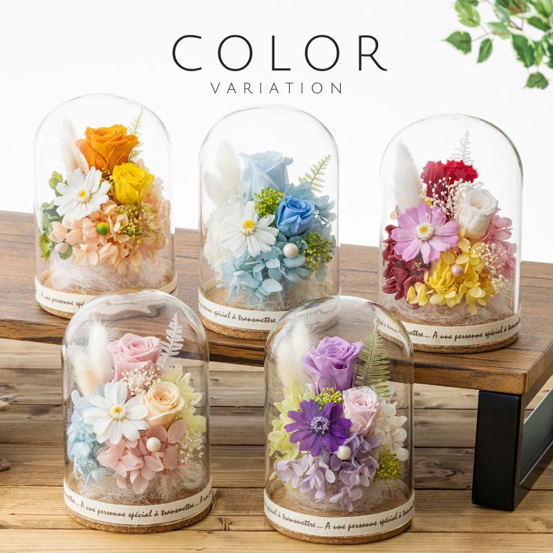 ル・ボア くま カラー種類