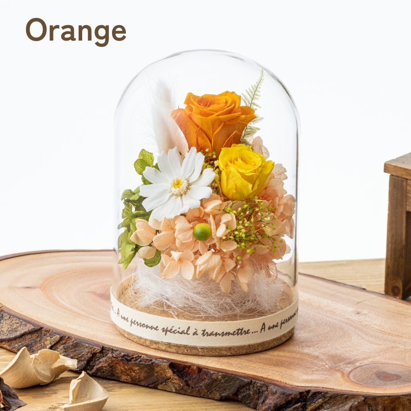 ル・ボア オレンジ