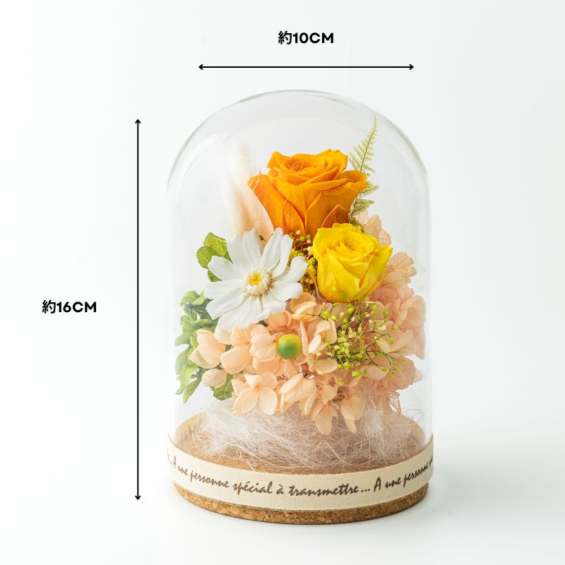 ル・ボア サイズ