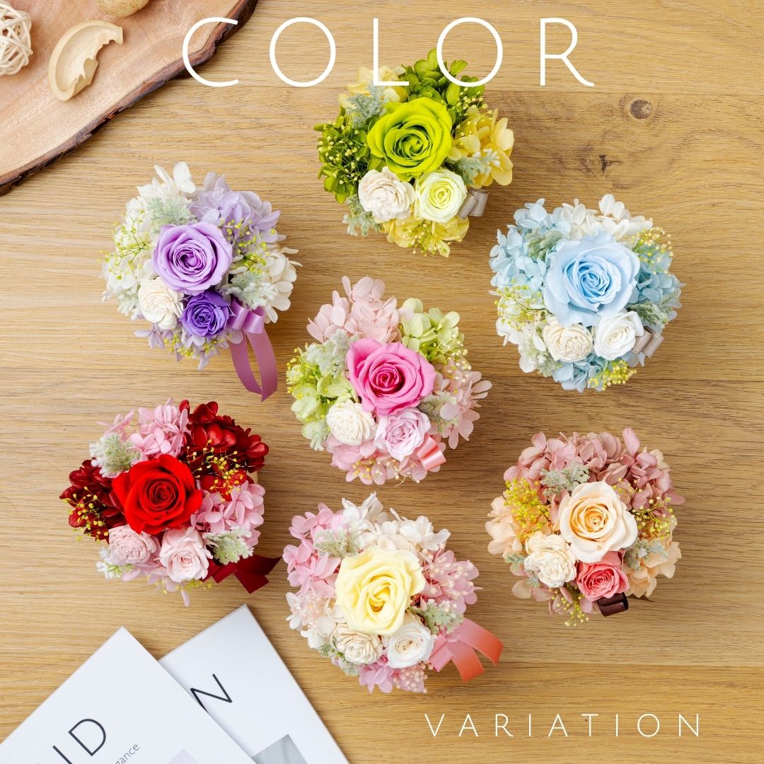 レスパース・プレザン カラー種類