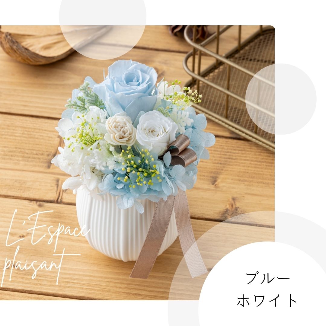 レスパース・プレザン ブルーホワイト