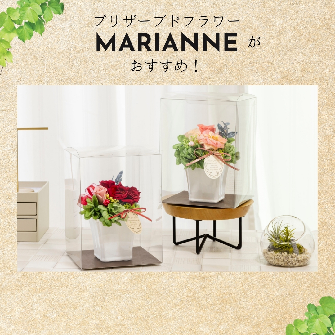 プリザーブドフラワー マリアンヌ おすすめ