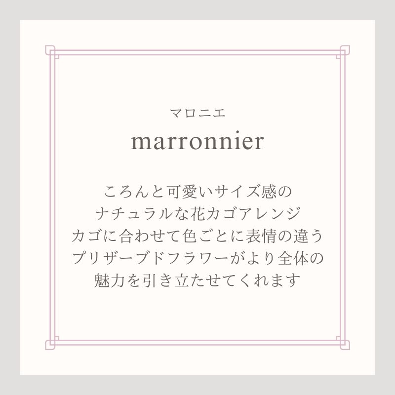 プリザーブドフラワー マロニエ2