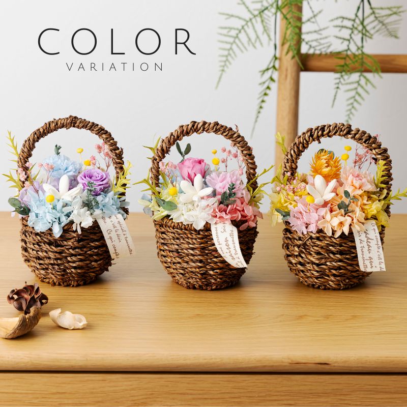 マロニエ カラー種類