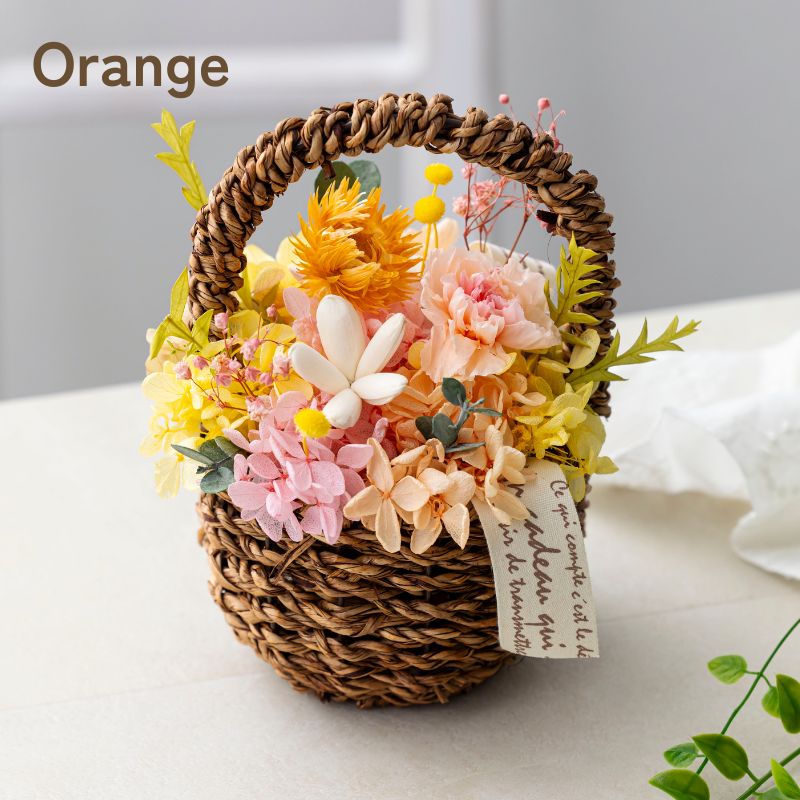 マロニエ オレンジ