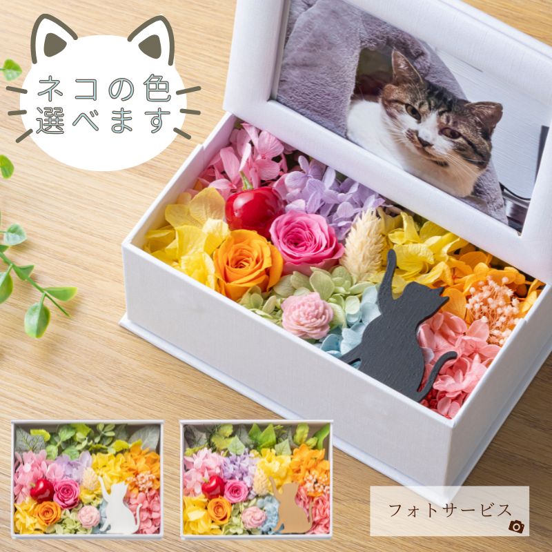 ブリザード 生写真 8枚セット プリザーブドフラワー 写真立て 猫 ミニョン フォトフレーム