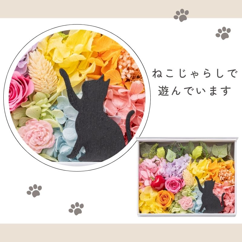 プリザーブドフラワー 写真立て 猫 ミニョン フォトフレーム
