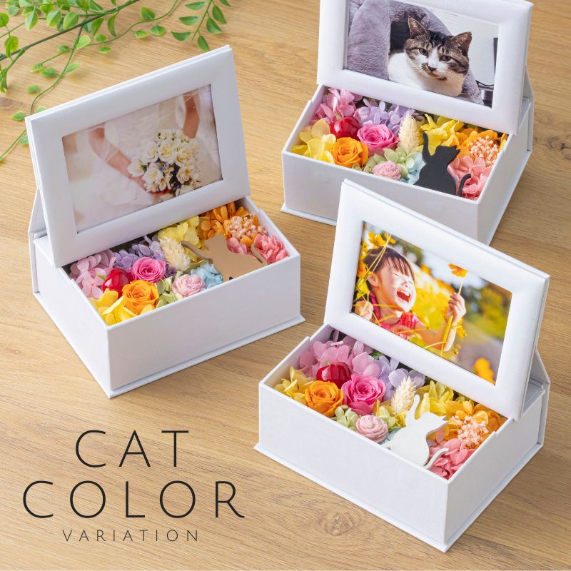 プリザーブドフラワー 写真立て 猫 ミニョン フォトフレーム