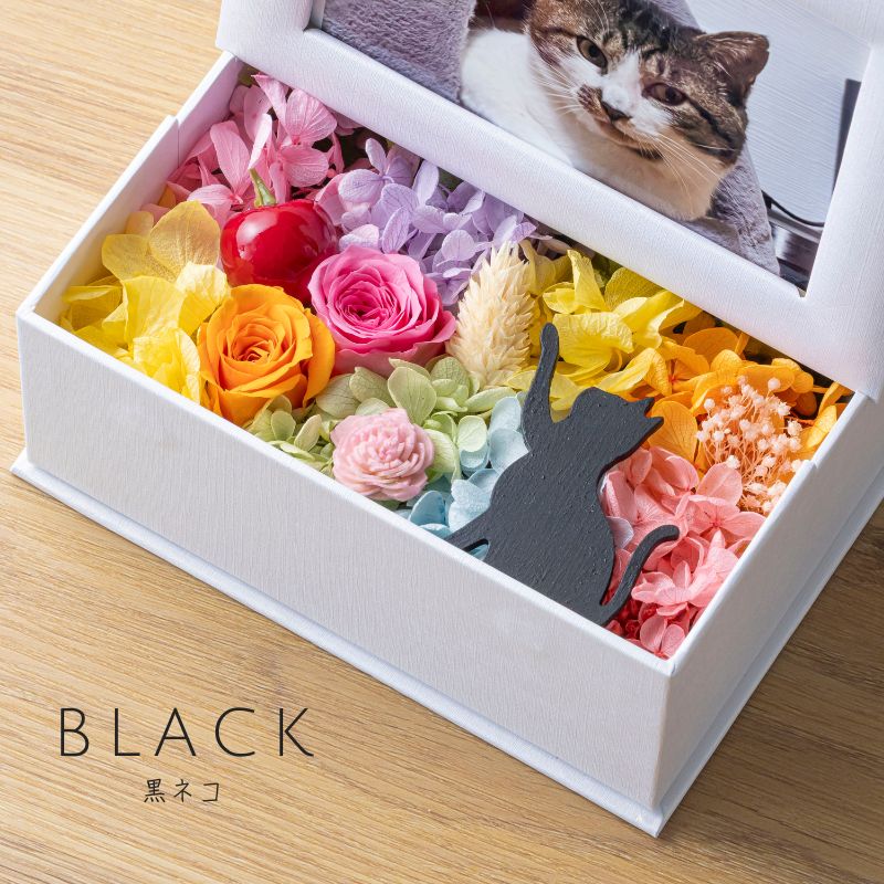 ふぉとねんが2021 かわいいおまけ付き　フォト雑貨 プリザーブドフラワー 写真立て 猫 ミニョン フォトフレーム