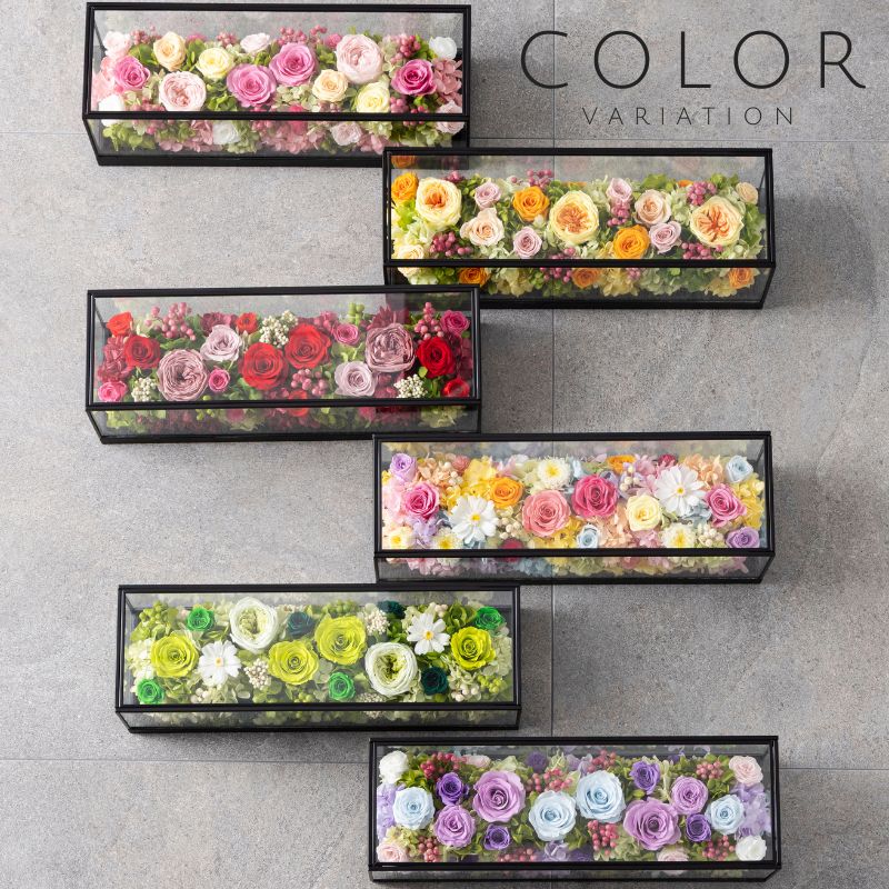 プリエール カラー種類