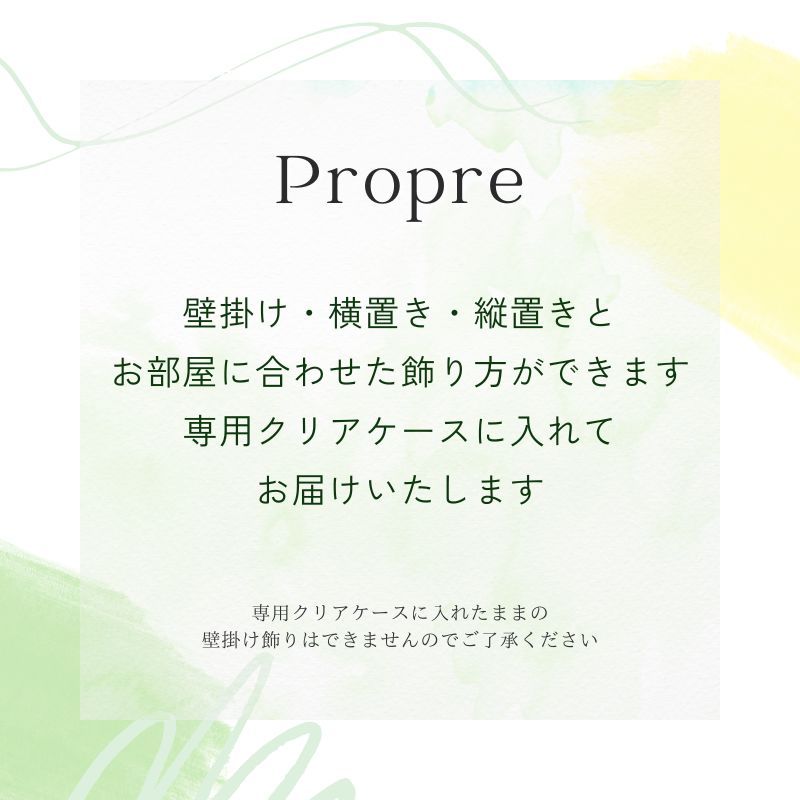 プリザーブドフラワー プロープル2