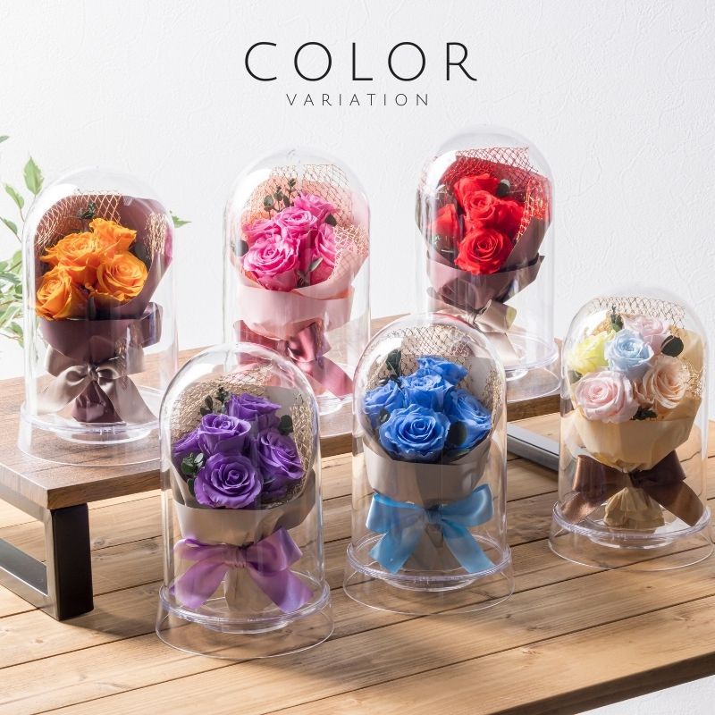 ラポール カラー