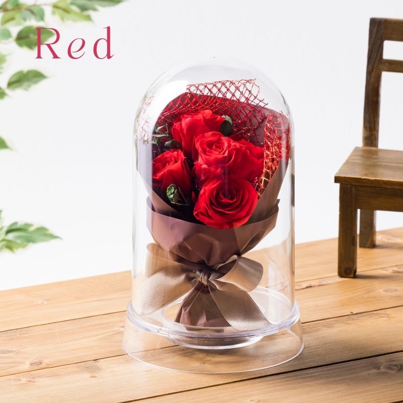 ラポール カラー レッド