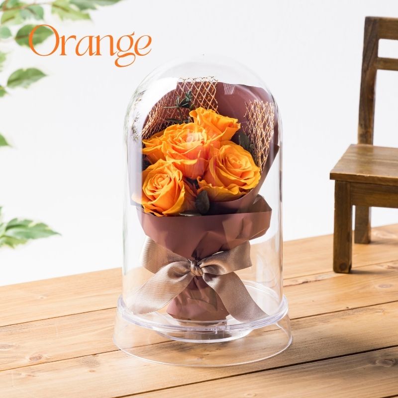 ラポール カラー オレンジ