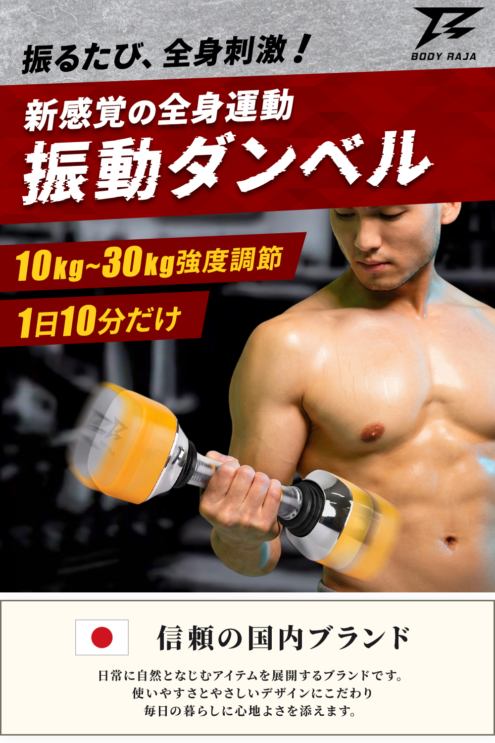 可変式ダンベル BODY RAJA 美品！ BODY RAJA ダンベル 可変式 振動 10〜30kg 負荷調整 動的負荷