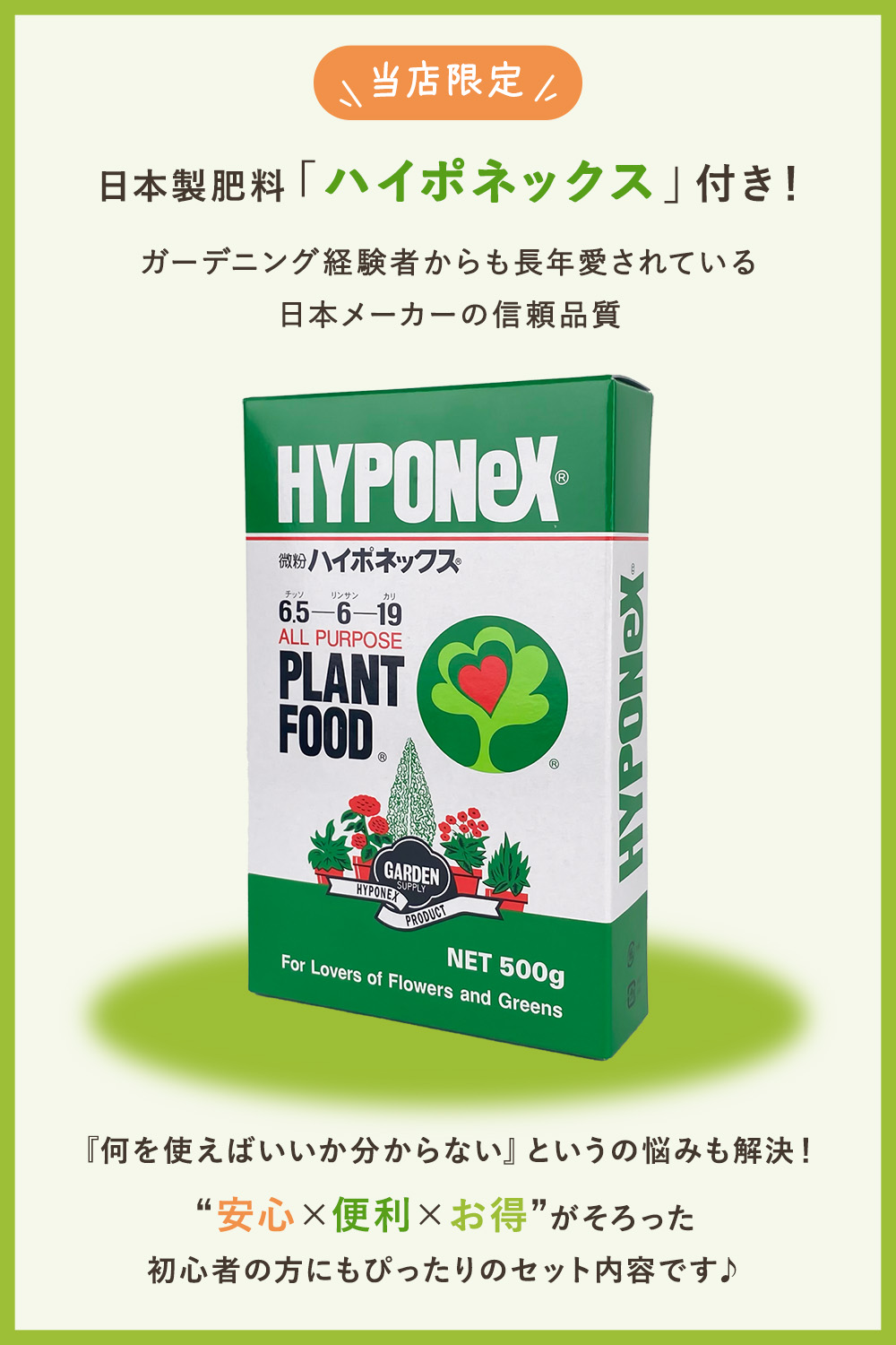水耕栽培キット 家庭菜園 室内菜園 キット プランター栽培 植物ライト LEDライト付き 12穴 タイマー機能 日本製肥料付き ハイポネックス 家庭用 食育 野菜栽培 関連画像5