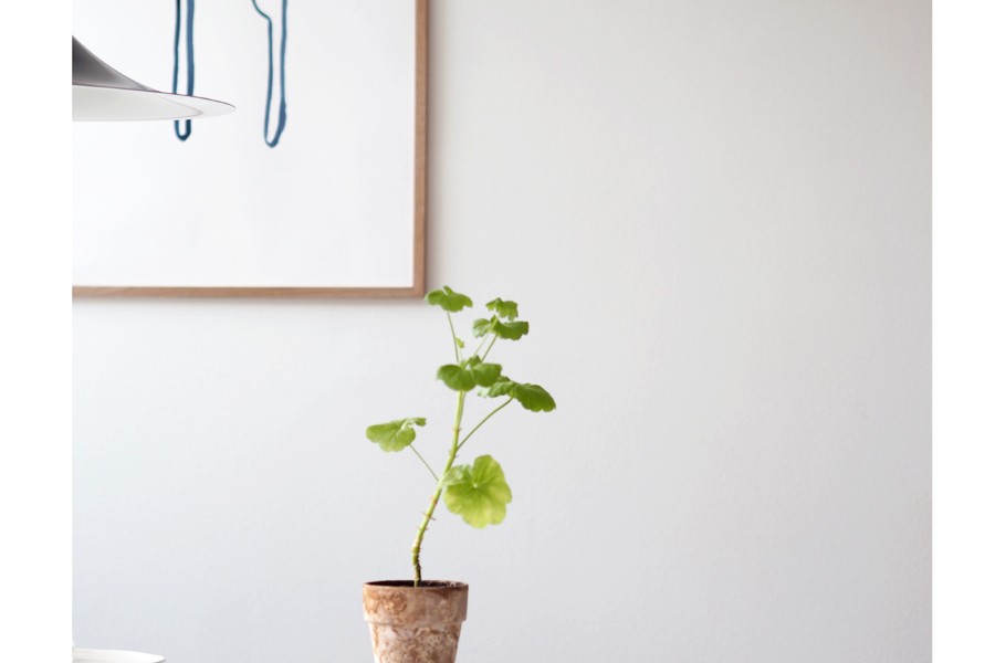 在庫限り】【再入荷なし】silke bonde ポスター/アートプリント 50