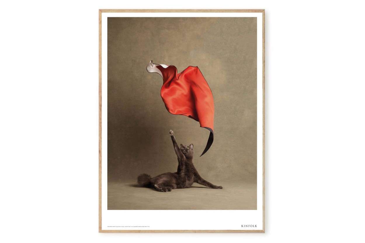 ALIUM × Kinfolk ポスター/アートプリント 50×70cm Le Chat Chic ALIUM × Kinfolk ポスター/アートプリント 50×70cm Le Chat Chic