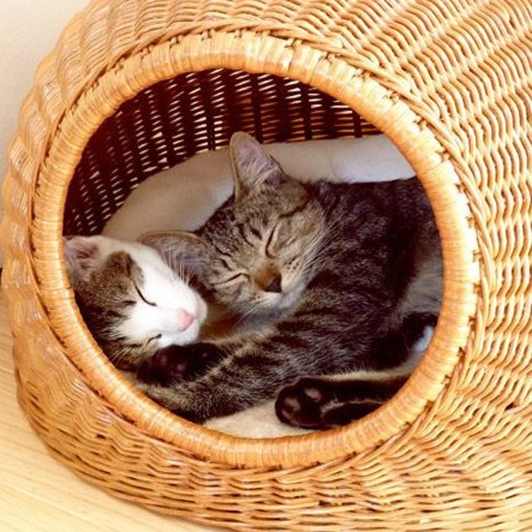 マット付き 籐かごバスケットの猫ちぐら（ハウス）つぐらハウス かごの
