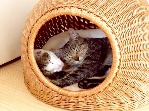 マット付き 籐かごバスケットの猫ちぐら（ハウス）つぐらハウス かごの