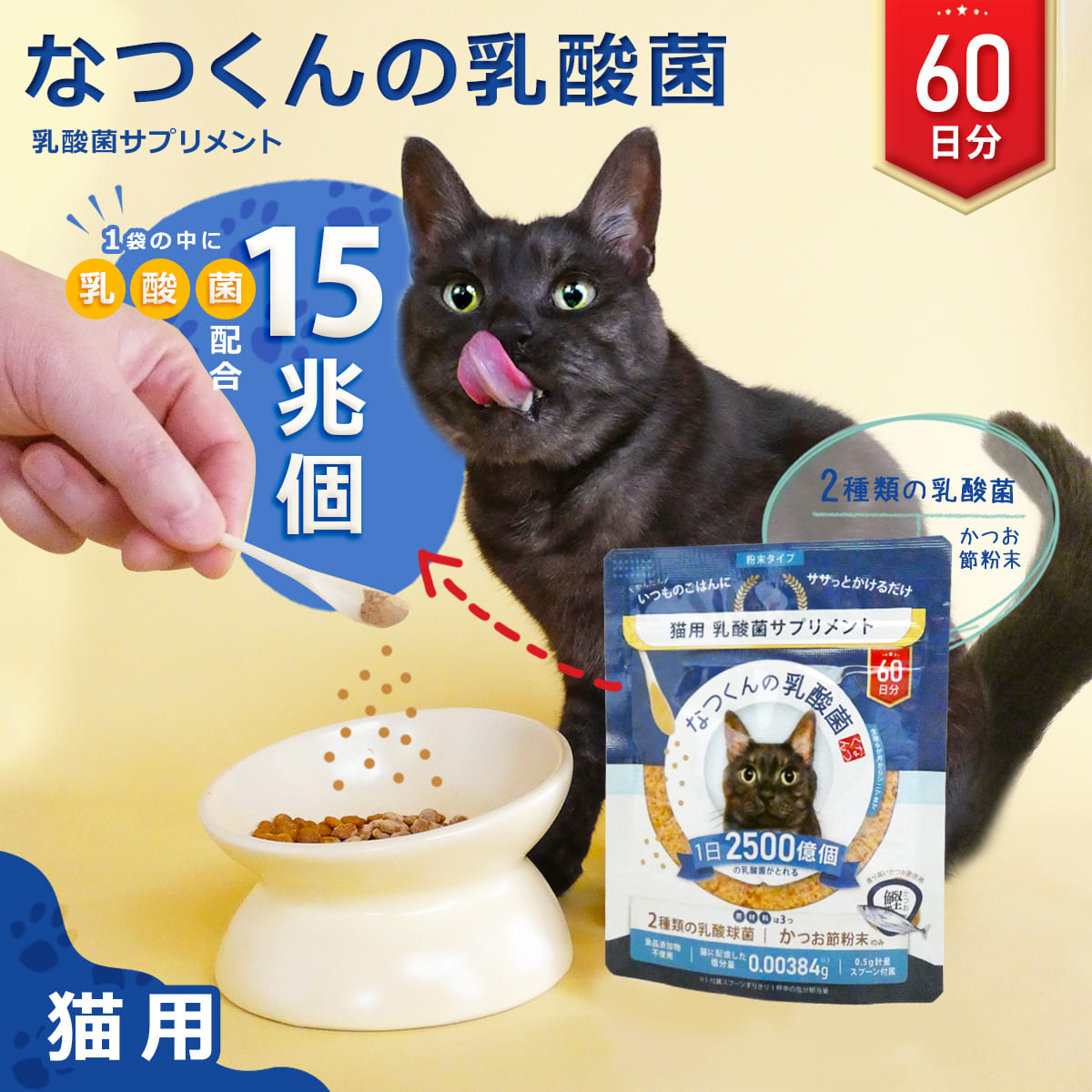 猫 乳酸菌 サプリメント なつくんの乳酸菌 60日分 公式ストア 猫用 ねこ 猫専用 減塩 鰹節