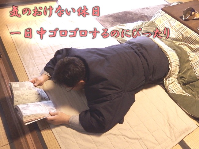 裏地キルト丹前 くつろぎ2