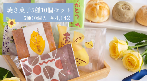 焼き菓子5種10個