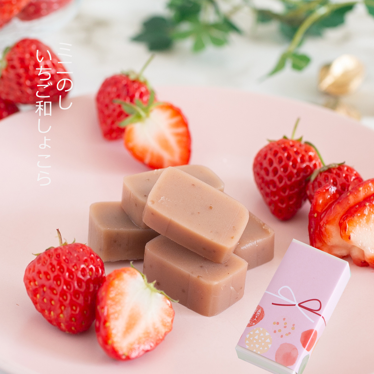 いちご和しょこら 1個 チョコ チョコレート ギフト スイーツ お