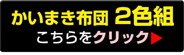 2色組へ