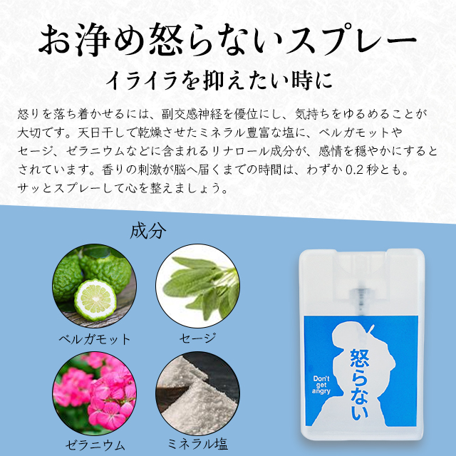 おいせさん（OISESAN） お浄め塩スプレー スプレー お清めスプレー
