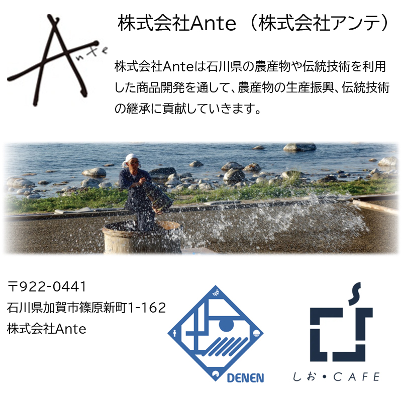 揚げ浜式製塩法 DENENしお 80g 海水塩 石川 能登 日本海 伝統 珠洲市 海の恵み 栄養 塩漬け 伝統 メール便 送料無料 ソルト 塩