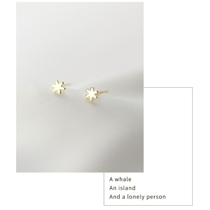ピアス ファースト Silver925 星 太陽 金属アレルギー対応 シルバー