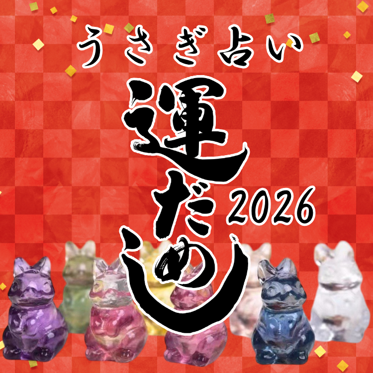 数量限定】うさぎ運試し2026 占い おみくじ フローライト 蛍石 穴開き