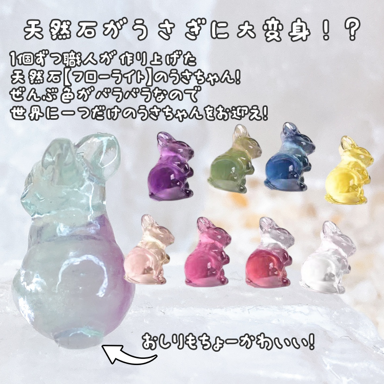 数量限定】うさぎ運試し2026 占い おみくじ フローライト 蛍石 穴開き