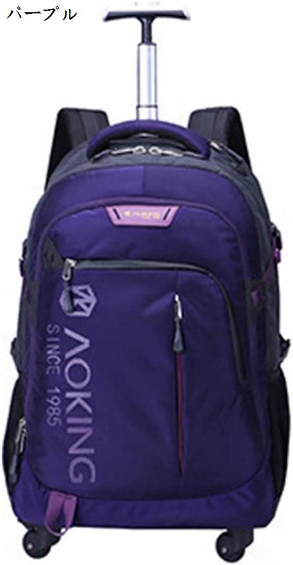 【廃盤/希少】パタゴニアMLC ウィーリー35Lキャリーバッグ3wayリュック黒 廃盤/希少】パタゴニアMLC ウィーリー35Lキャリーバッグ3wayリュック黒