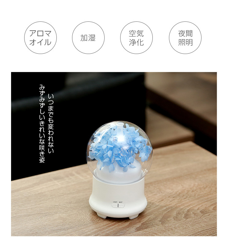 加湿器 超音波 アロマオイル 加湿 空気浄化 夜間照明 アロマ超音波式加湿器 Led おしゃれ ミスト アロマディフューザー 加湿器 気化式 アロマ対応 焚き防止 Ar3gmhd0lp 冷暖房器具 空調家電 Www Robotnature Com
