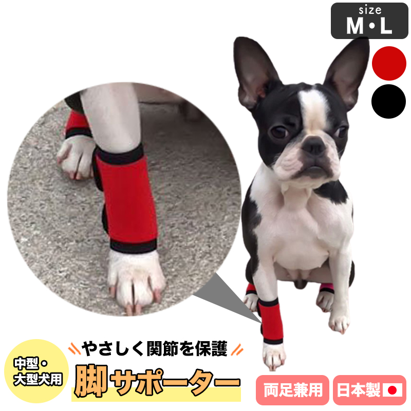 ゾイック ZOIC 犬猫用 ロング シャンプー＆リンスセット - 犬