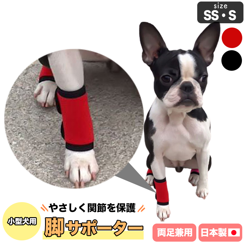 犬 足 サポーター 両足兼用 日本製 プロテクター 小型犬 SS〜Sサイズ 足保護 ひざ 関節サポーター 膝サポーター 関節保護 ナックリング