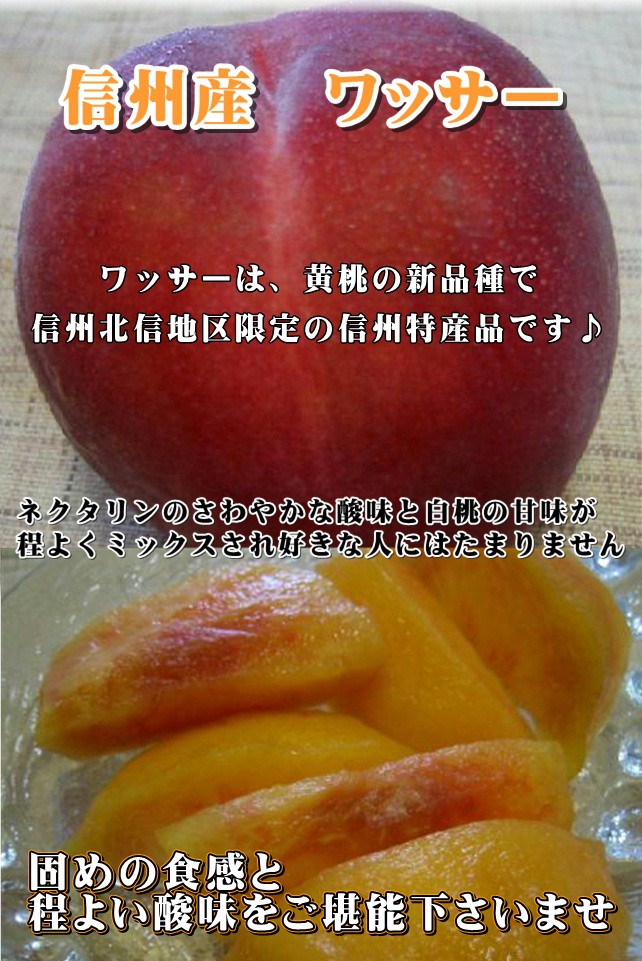 wasa0716.jpg