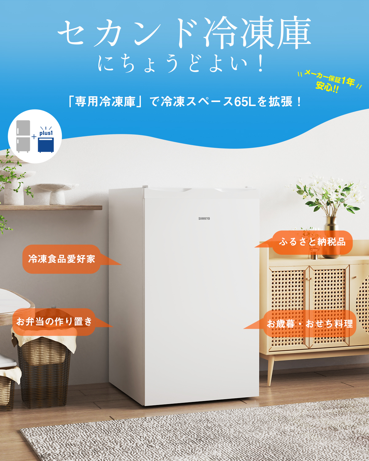 【BLACKFRIDAY★30900円→25900円更にP5倍！】冷凍庫 小型冷凍庫 急冷 65L 省エネ 前開き式 2時間急冷 家庭用 小型  コンパクト 温度調節4段階