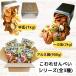 割れせんべい 一斗缶 半分 半缶 1kg 草加煎餅 久助 訳あり こわれせんべい お徳用 大容量 詰め合わせ おすすめ ギフト 小分け袋 セット 関連画像3