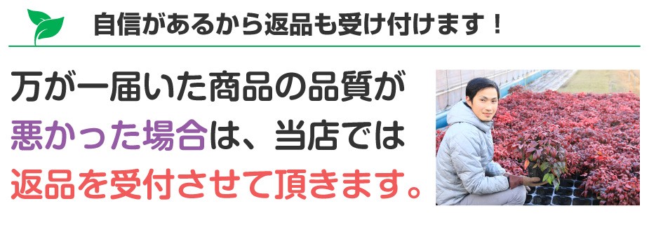 商品の質が悪かったら返品も受け付けます！