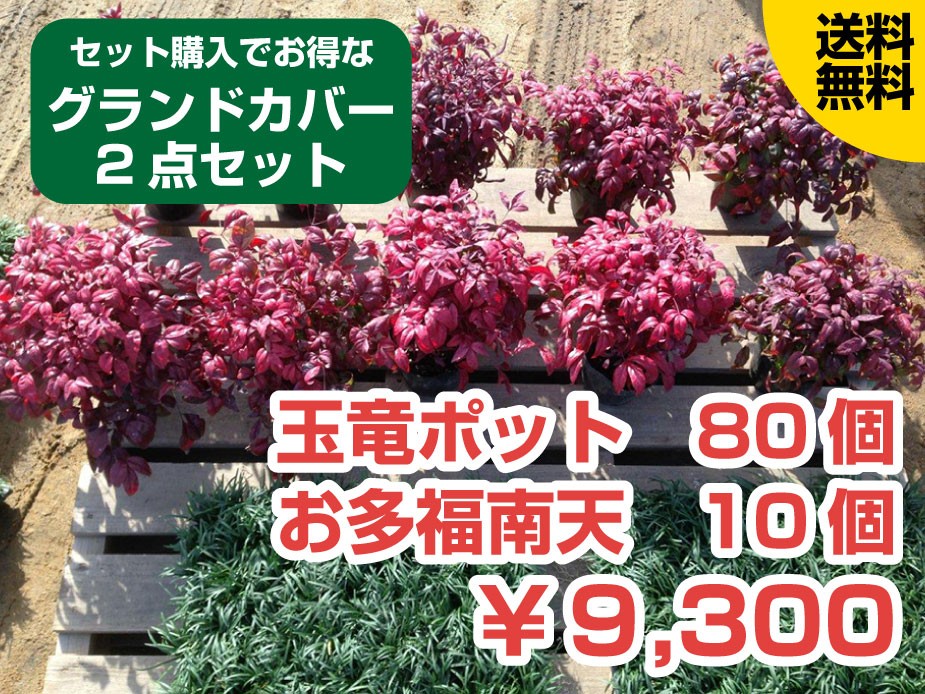 商品詳細