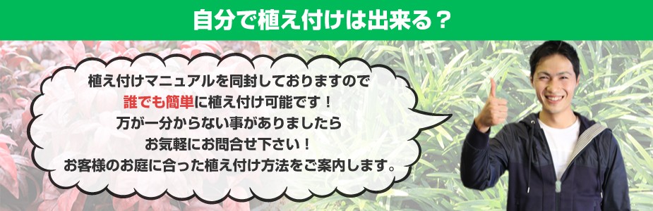 植え付けマニュアルを同封しておりますので誰でも簡単に植え付けられます！