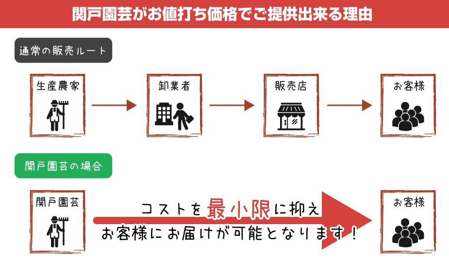 関戸園芸の玉竜が安くて品質がいい理由は直販だから！