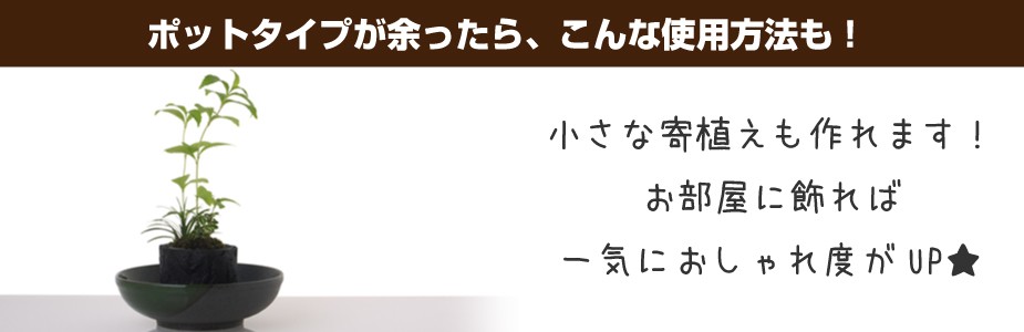 玉竜のポットタイプが余った時の活用方法